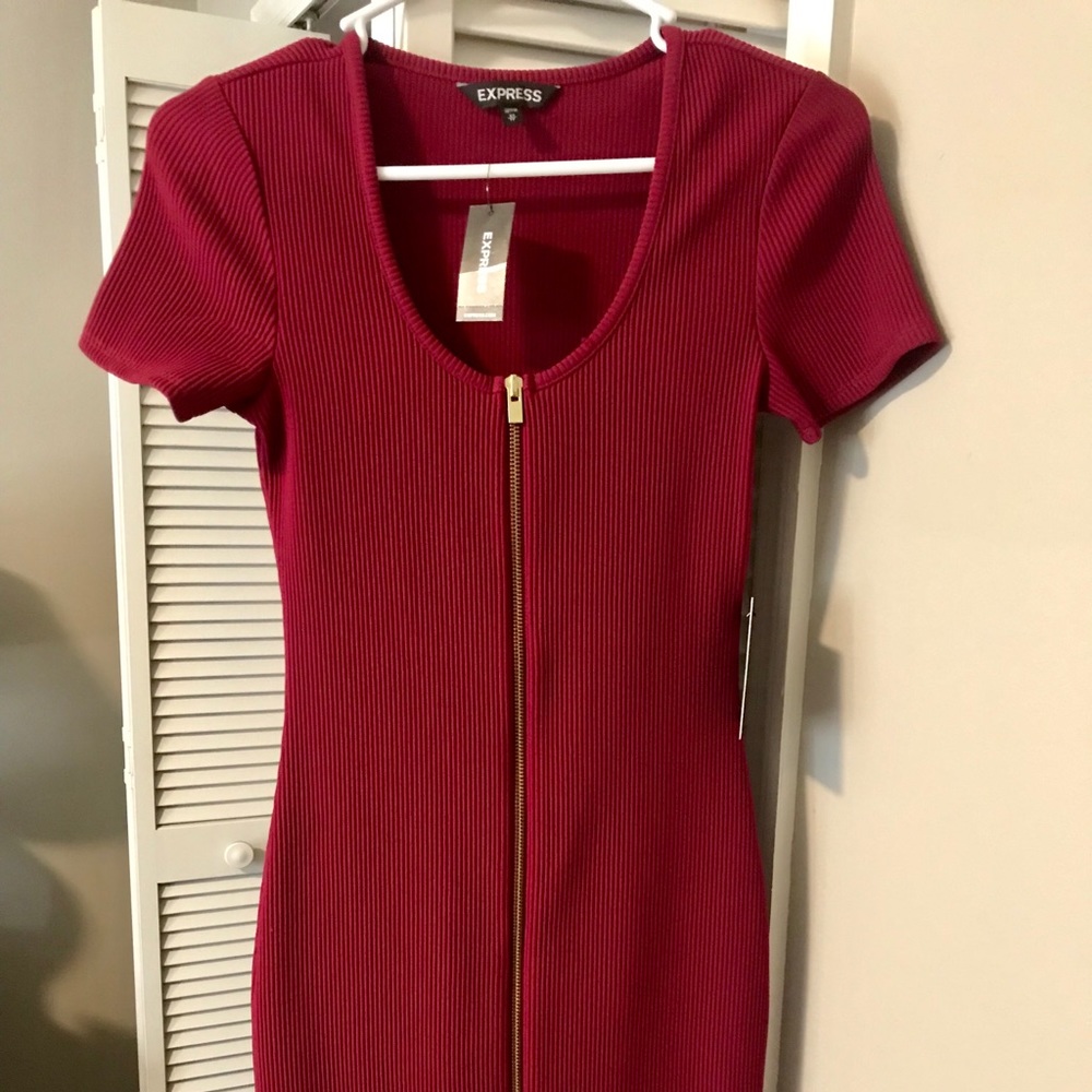Express zip burgundy mini dress.